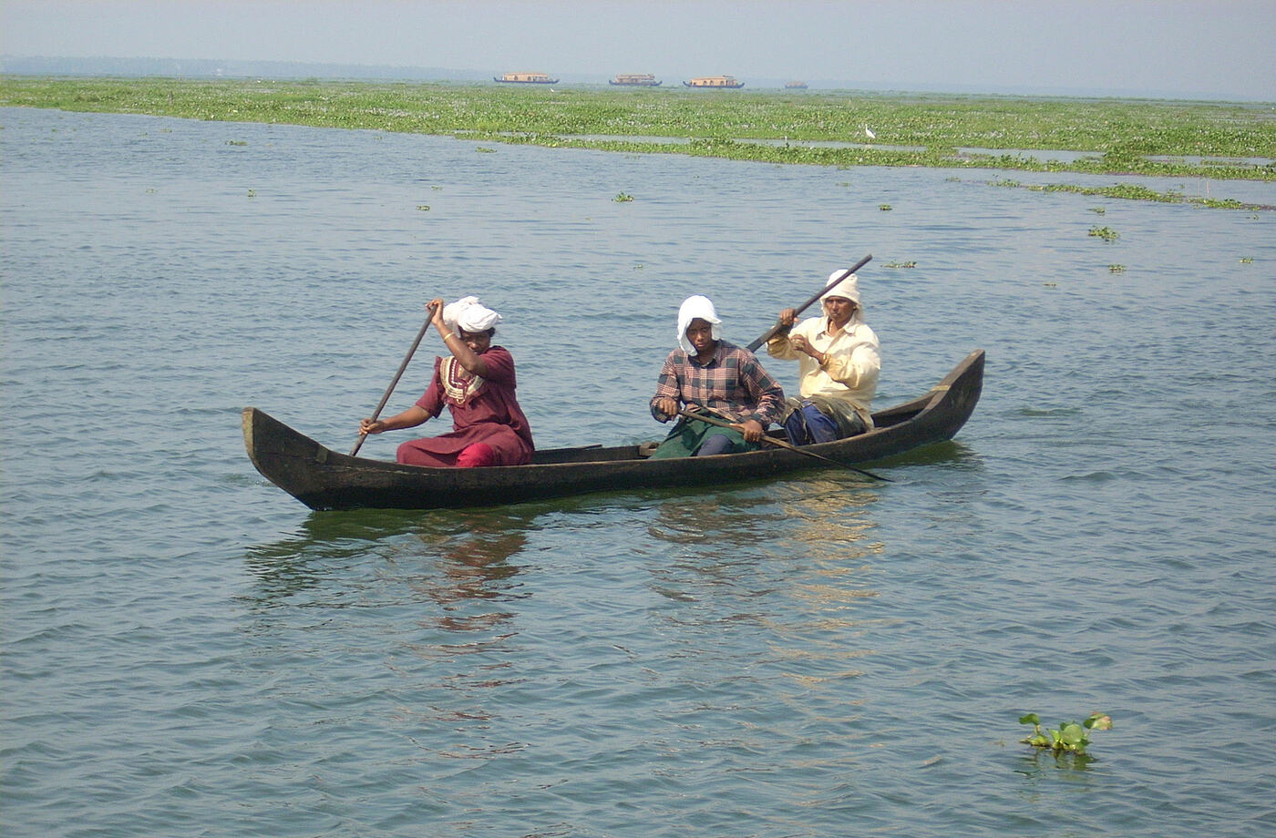 A wooden country boat being paddled along a narrow Kerala canal